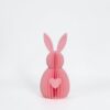 MadebyLL haasje hart 3D print roze